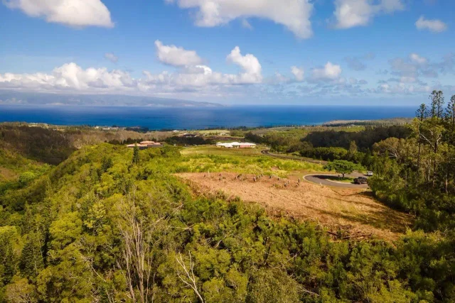 Listing Image for 840 Mahana Ridge Pl Lot 51 1 of 10