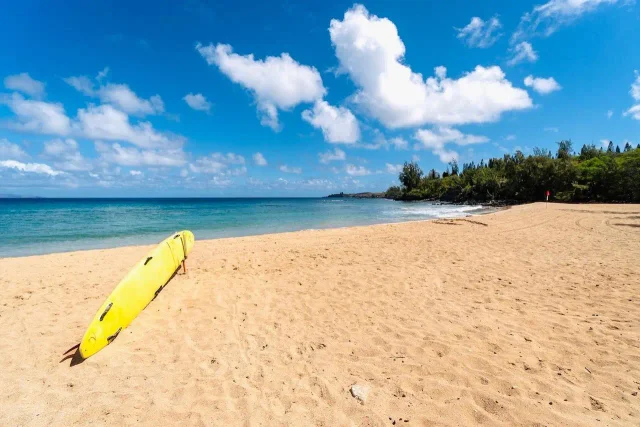 Listing Image for 840 Mahana Ridge Pl Lot 51 10 of 10