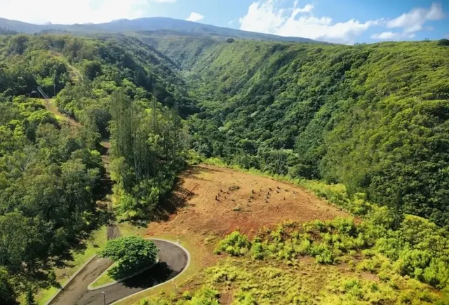 Listing Image for 840 Mahana Ridge Pl Lot 51 4 of 10