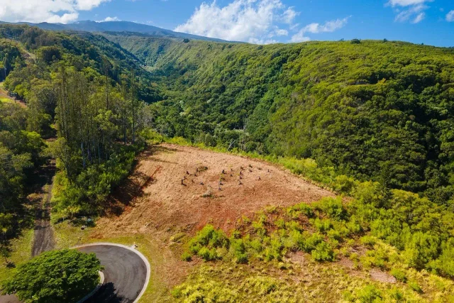 Listing Image for 840 Mahana Ridge Pl Lot 51 5 of 10