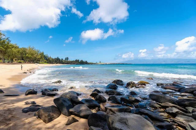 Listing Image for 840 Mahana Ridge Pl Lot 51 9 of 10