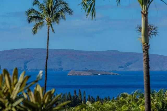 Listing Image for 3943 Wailea Ekolu Pl 3 of 50