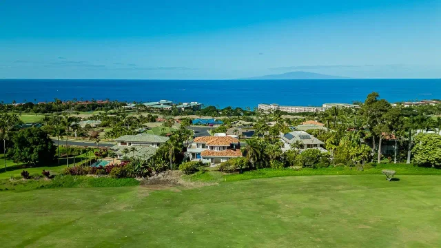 Listing Image for 3943 Wailea Ekolu Pl 44 of 50
