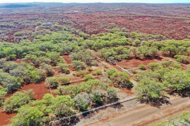 Listing Image for 3035 Kalua Koi Rd 6 of 30
