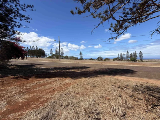 Listing Image for Puumalu St Lot 439 1 of 17
