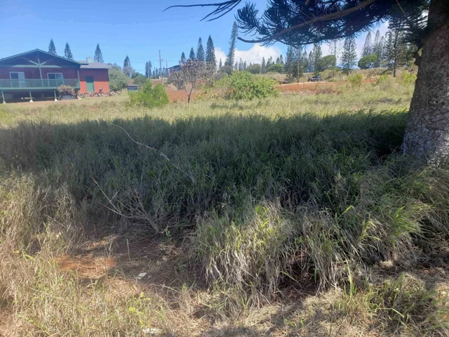 Listing Image for Puumalu St Lot 439 6 of 17