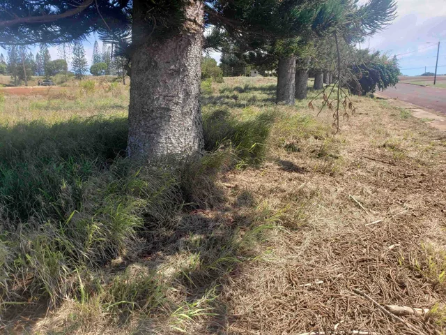 Listing Image for Puumalu St Lot 439 7 of 17