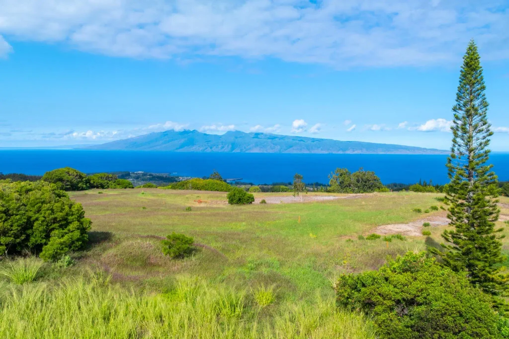 242 Keoawa St 22, Kapalua