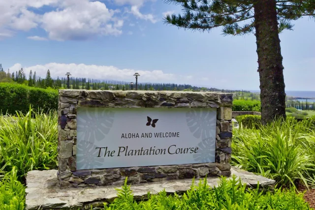 Listing Image for 242 Keoawa St 22 12 of 18