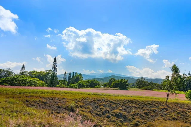 Listing Image for 242 Keoawa St 22 9 of 18