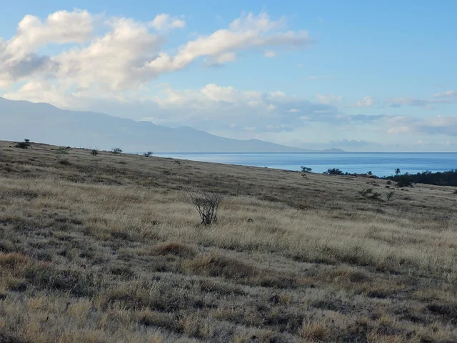 Listing Image for 814 Honoapiilani Hwy Lot 22-a 2 of 6