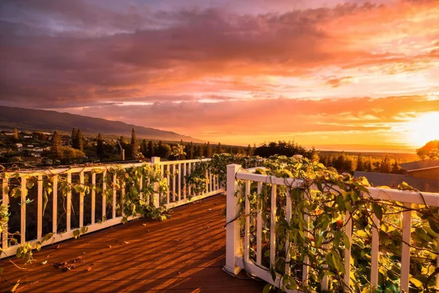 Listing Image for 49 Hiwalani Loop 42 of 49