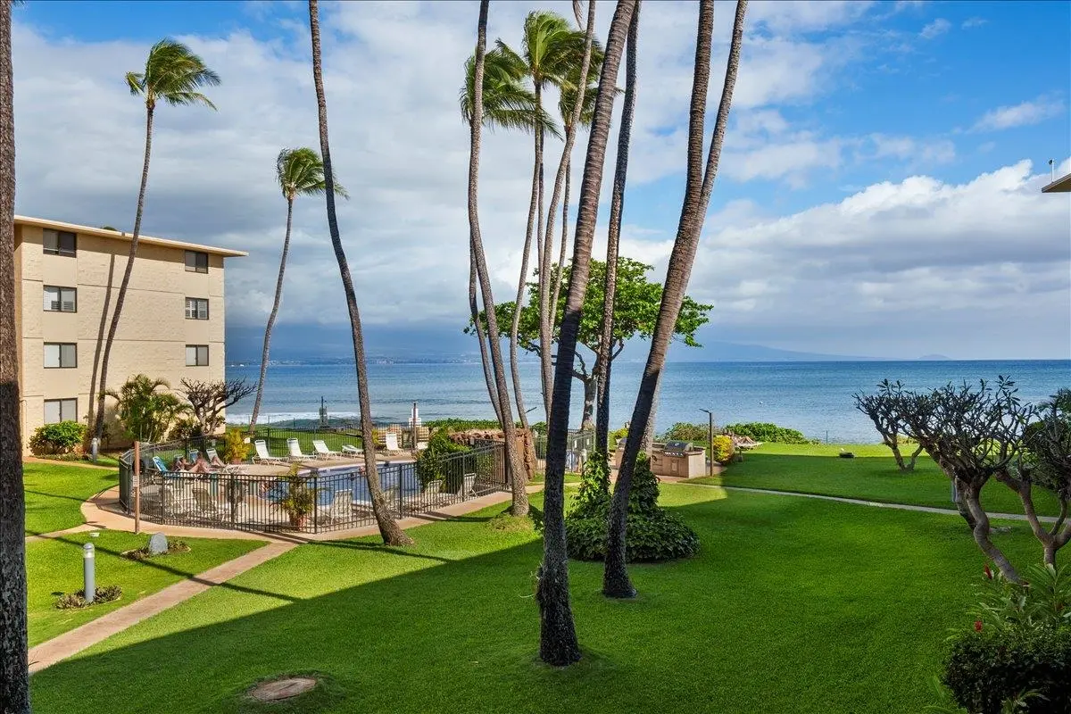 Photo of Listing #409306