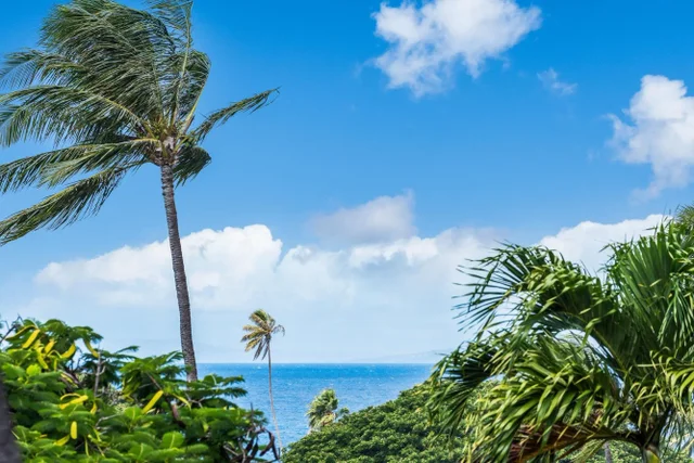 Listing Image for 2661 Kekaa Dr E204 23 of 50