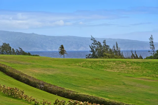 Listing Image for 1 Ritz Carlton Dr 1126-1128 3 of 30