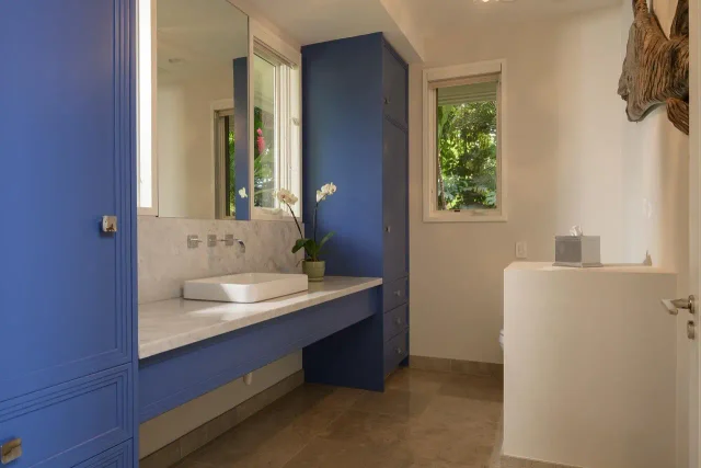 Listing Image for 3885 Wailea Ekolu Pl 27 of 47