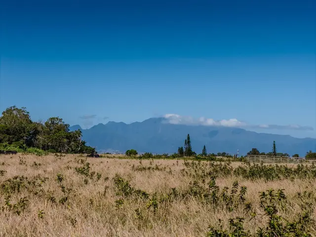 Listing Image for 93 Piiholo Rd B 10 of 24