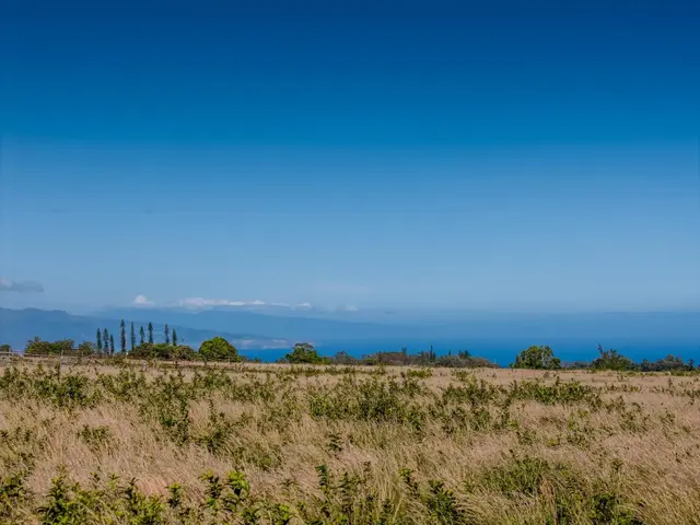 Listing Image for 93 Piiholo Rd B 11 of 24