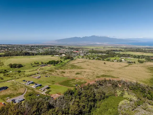Listing Image for 93 Piiholo Rd B 14 of 24