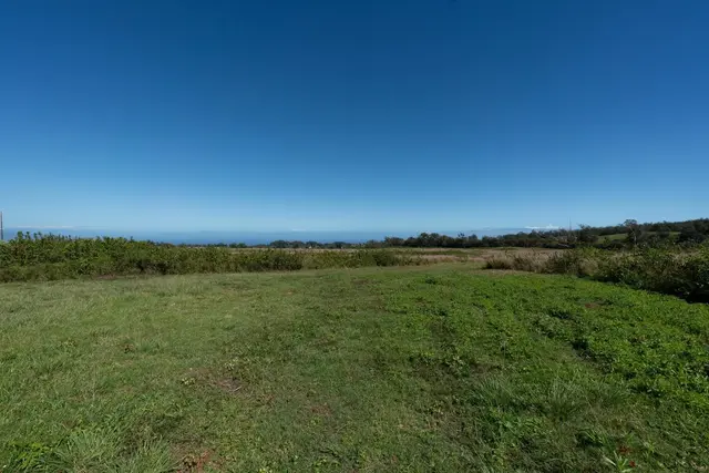 Listing Image for 93 Piiholo Rd B 15 of 24