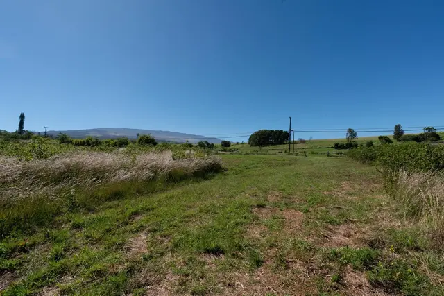 Listing Image for 93 Piiholo Rd B 16 of 24