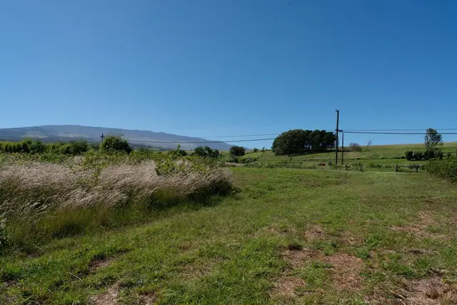 Listing Image for 93 Piiholo Rd B 17 of 24