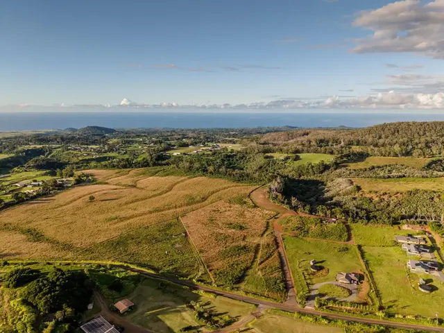 Listing Image for 93 Piiholo Rd B 19 of 24
