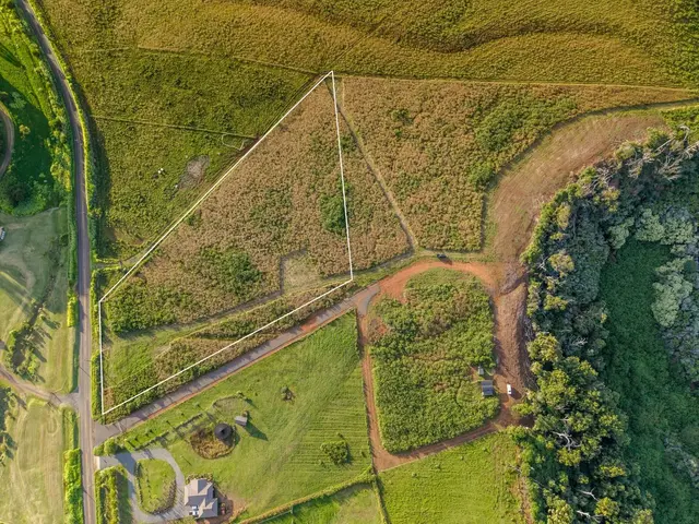 Listing Image for 93 Piiholo Rd B 2 of 24