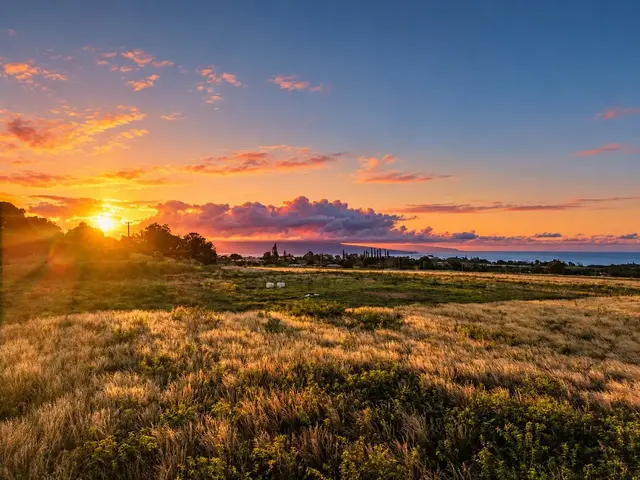 Listing Image for 93 Piiholo Rd B 3 of 24