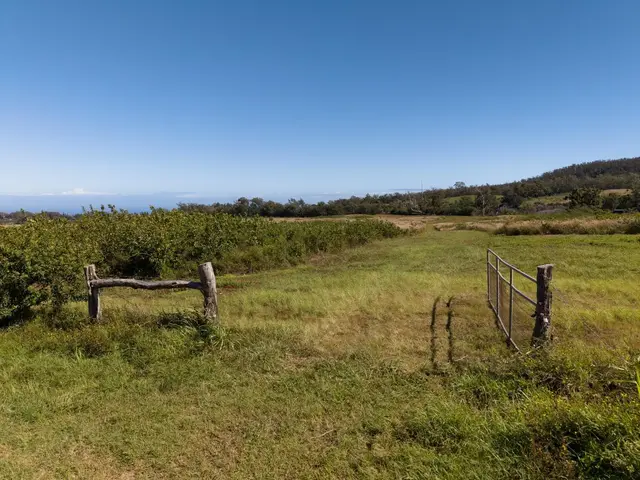 Listing Image for 93 Piiholo Rd B 6 of 24