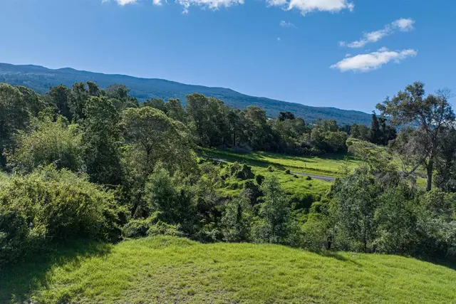Listing Image for 30 Kamila St 16 of 18