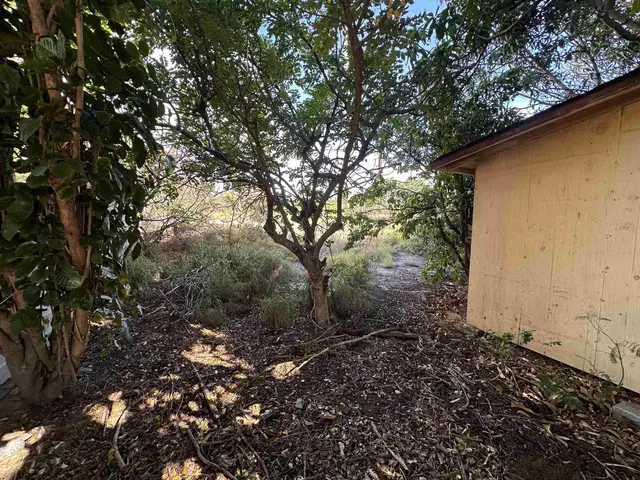 Listing Image for 446 Ipu Cir 10 of 13