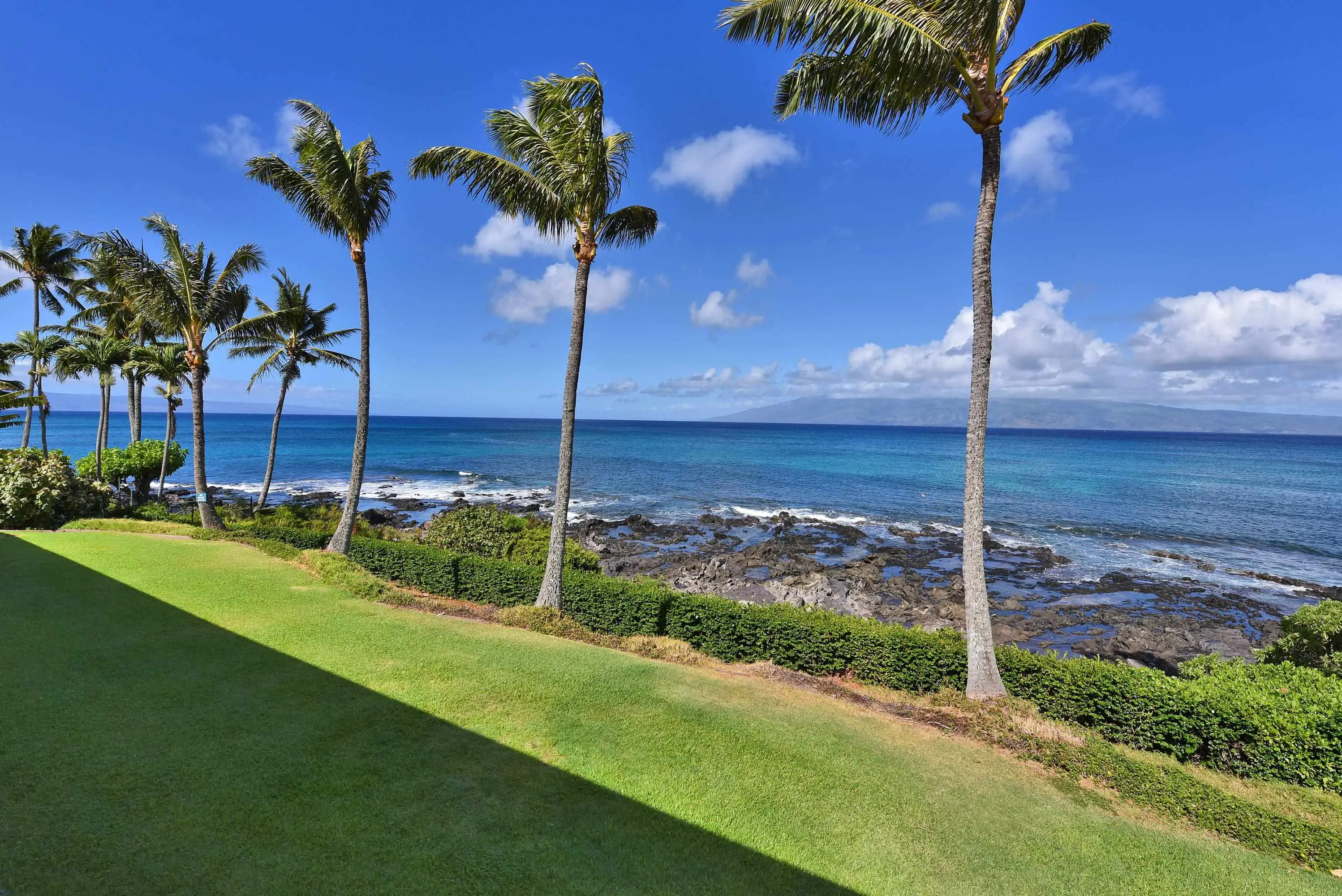 Photo of Listing #409310