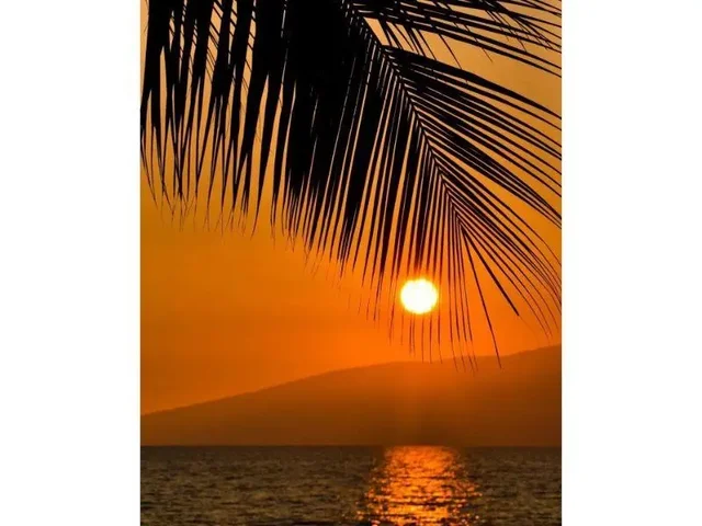 Listing Image for 36 S Kihei Rd 602 31 of 33