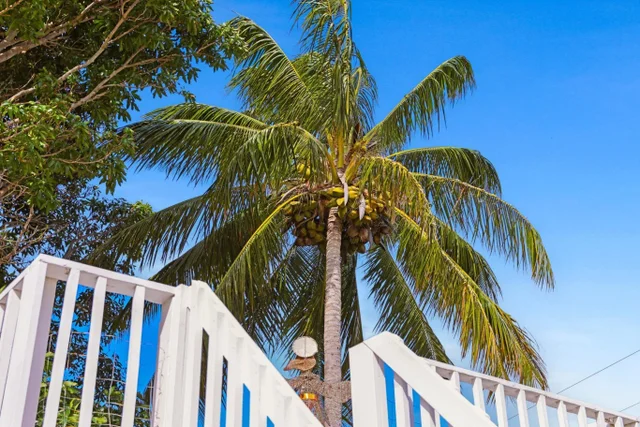 Listing Image for 6 Kahope Pl 44 of 48