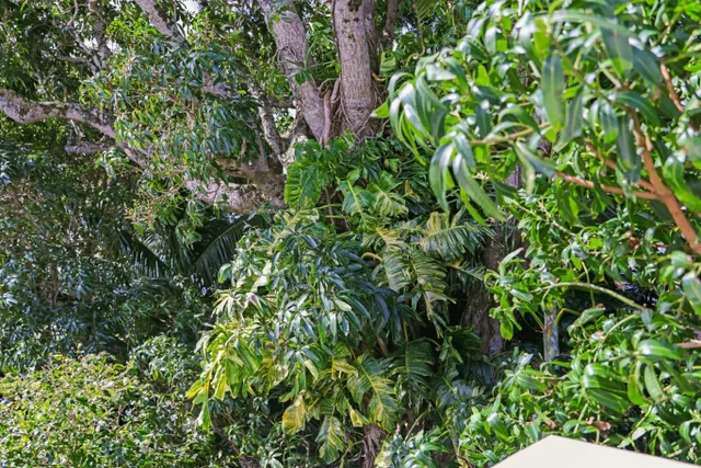 Listing Image for 6 Kahope Pl 46 of 48