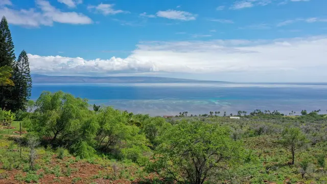 Listing Image for 303 Makanui Rd Lot 225 1 of 16