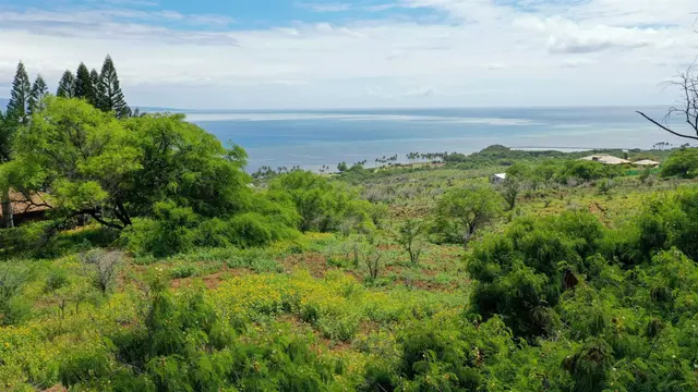 Listing Image for 303 Makanui Rd Lot 225 11 of 16