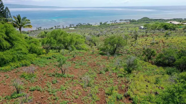 Listing Image for 303 Makanui Rd Lot 225 12 of 16