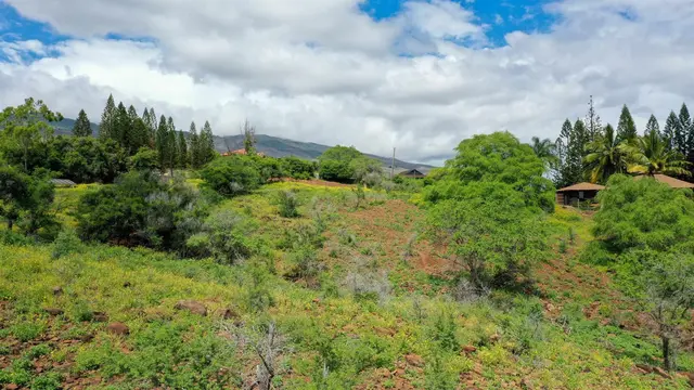Listing Image for 303 Makanui Rd Lot 225 14 of 16