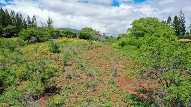 Listing Image for 303 Makanui Rd Lot 225 5 of 16