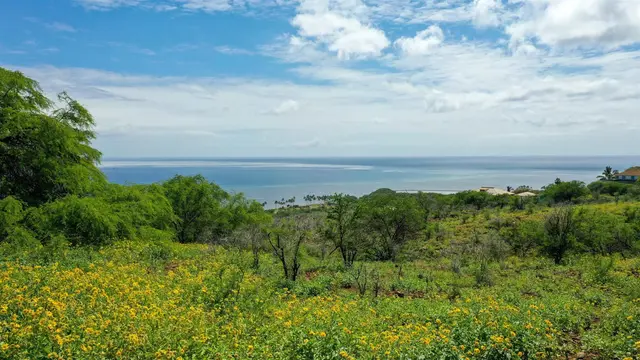 Listing Image for 303 Makanui Rd Lot 225 6 of 16