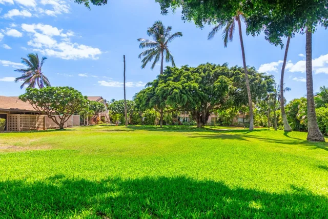 Listing Image for 15 Kulanihakoi St 17e 41 of 43