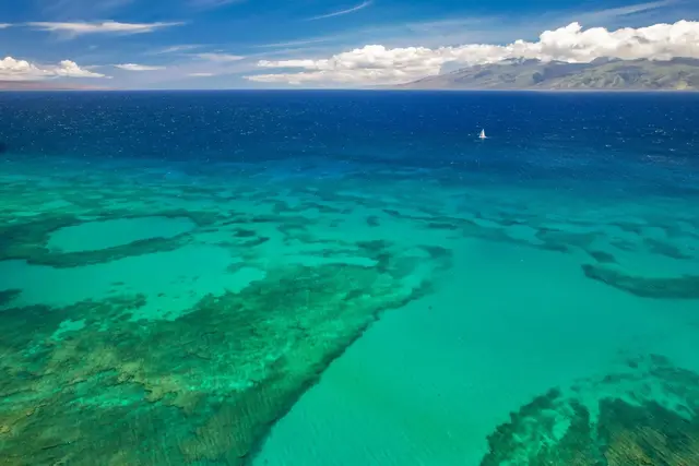 Listing Image for 5295 Lower Honoapiilani Rd B36 5 of 49