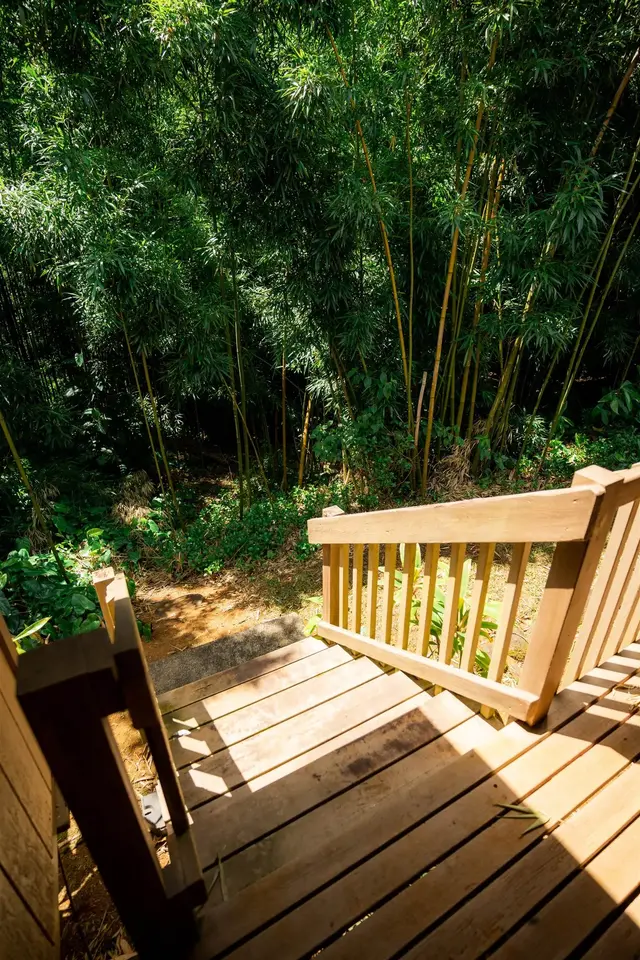 Listing Image for 60 Lepo Pl 18 of 30