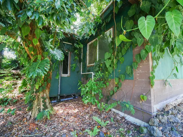 Listing Image for 4264 Hana Hwy 10 of 50