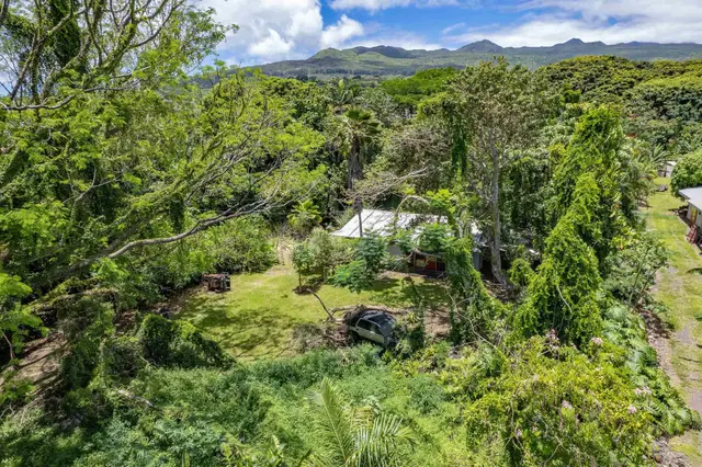 Listing Image for 4264 Hana Hwy 40 of 50