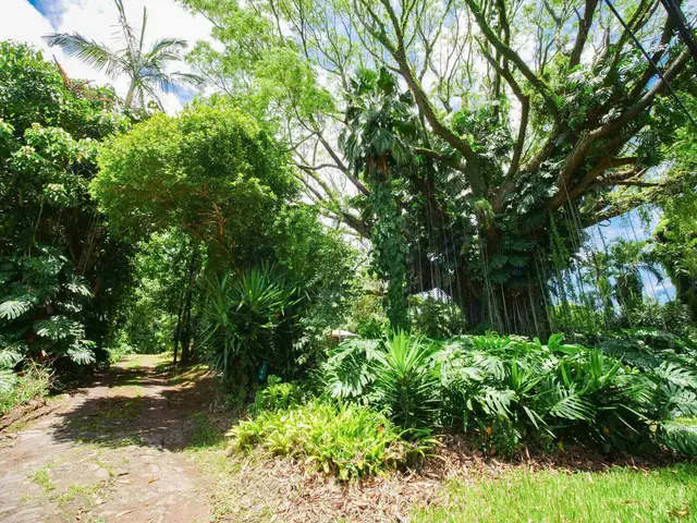 Listing Image for 4264 Hana Hwy 43 of 50