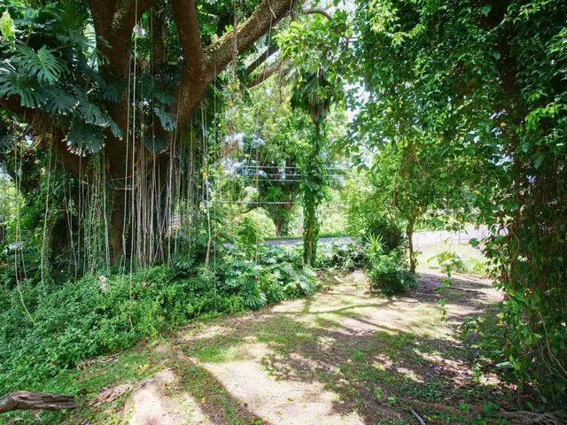 Listing Image for 4264 Hana Hwy 44 of 50