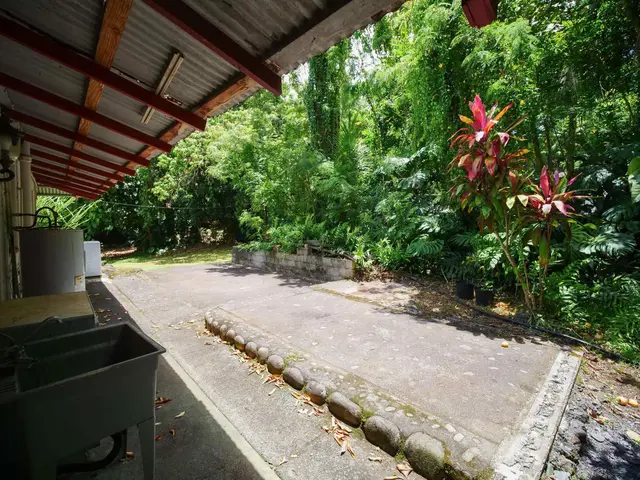 Listing Image for 4264 Hana Hwy 46 of 50